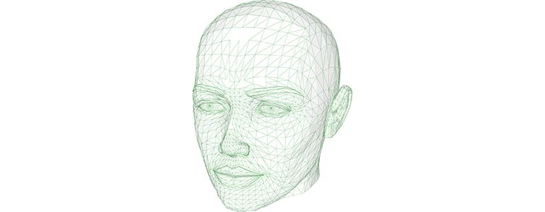 head wireframe